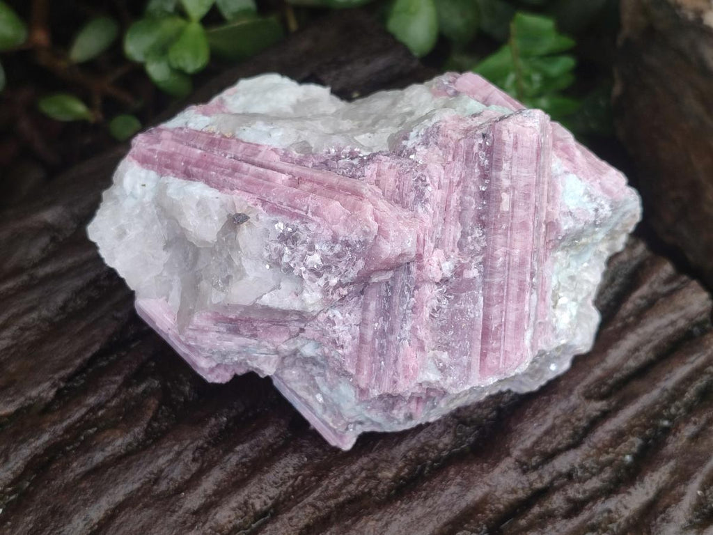 Natural Large Pink Rubellite Tourmaline Specimens x 6 From Karibib, Namibia - Toprock Gemstones and Minerals 