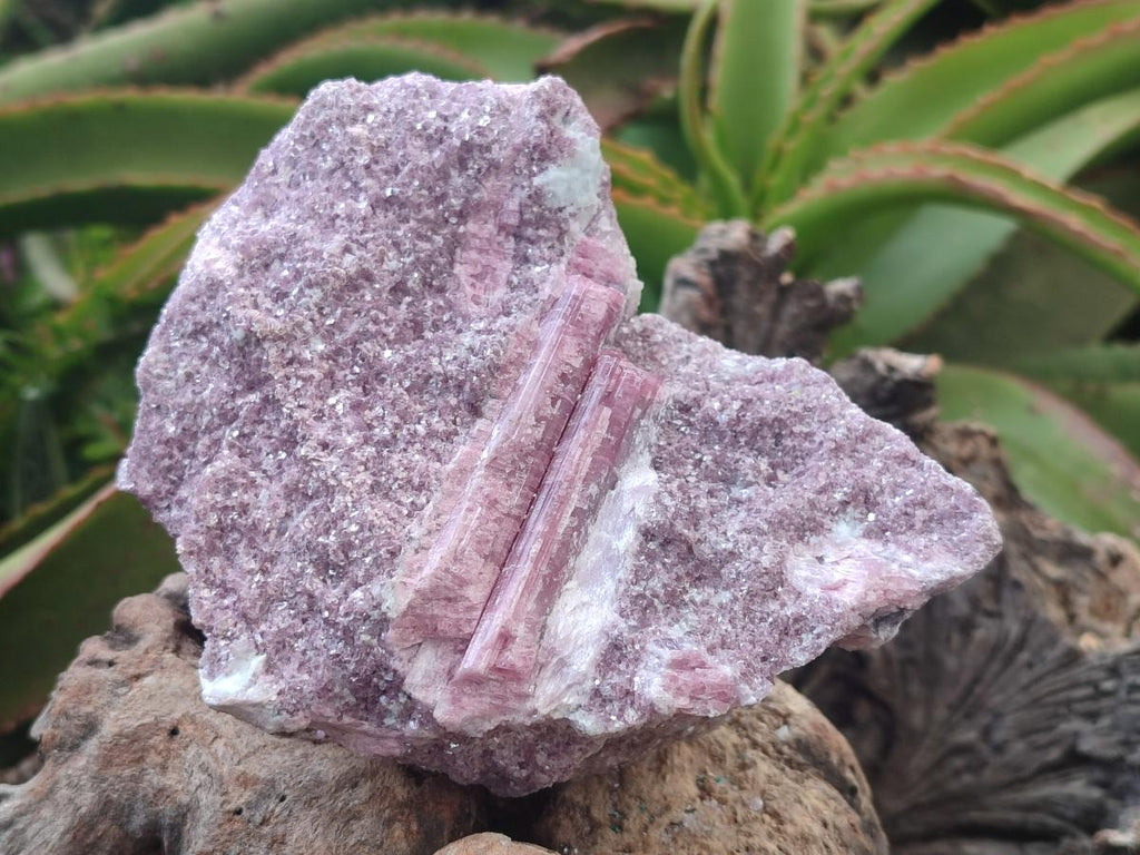 Natural Large Pink Rubellite Tourmaline Specimens x 6 From Karibib, Namibia - Toprock Gemstones and Minerals 