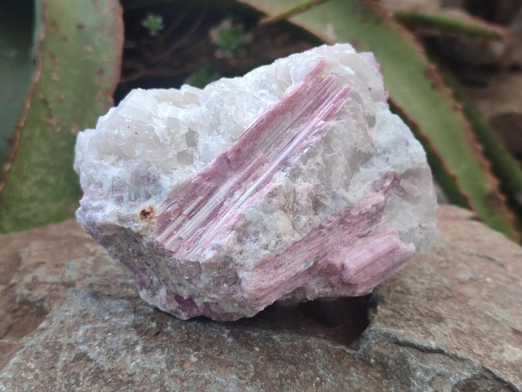 Natural Large Pink Rubellite Tourmaline Specimens x 6 From Karibib, Namibia - Toprock Gemstones and Minerals 