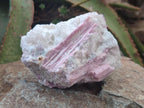 Natural Large Pink Rubellite Tourmaline Specimens x 6 From Karibib, Namibia - Toprock Gemstones and Minerals 
