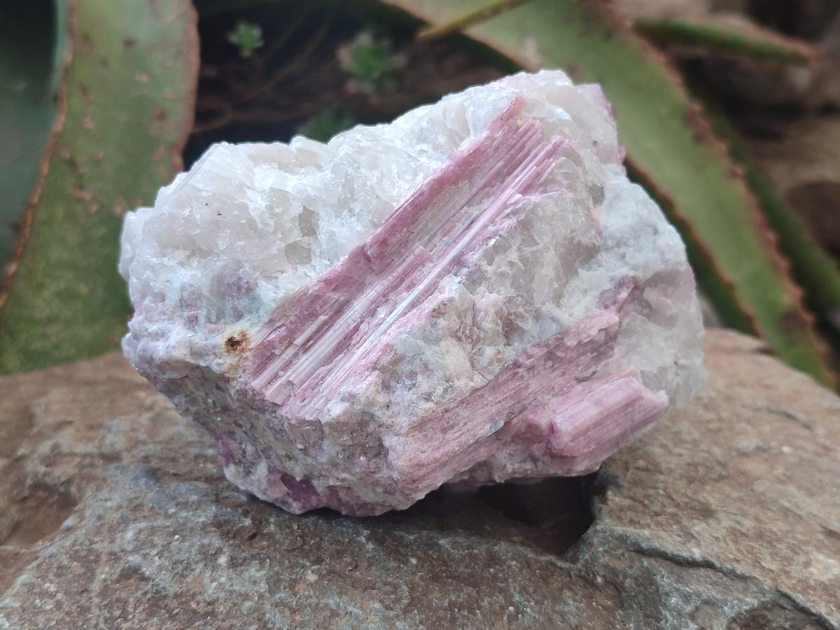 Natural Large Pink Rubellite Tourmaline Specimens x 6 From Karibib, Namibia - Toprock Gemstones and Minerals 