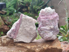 Natural Large Pink Rubellite Tourmaline Specimens x 6 From Karibib, Namibia - Toprock Gemstones and Minerals 