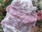 Natural Large Pink Rubellite Tourmaline Specimens x 6 From Karibib, Namibia - Toprock Gemstones and Minerals 