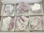 Natural Large Pink Rubellite Tourmaline Specimens x 6 From Karibib, Namibia - Toprock Gemstones and Minerals 