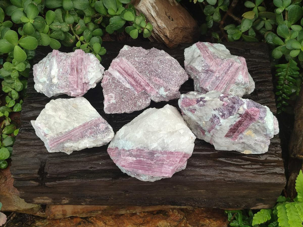 Natural Large Pink Rubellite Tourmaline Specimens x 6 From Karibib, Namibia - Toprock Gemstones and Minerals 