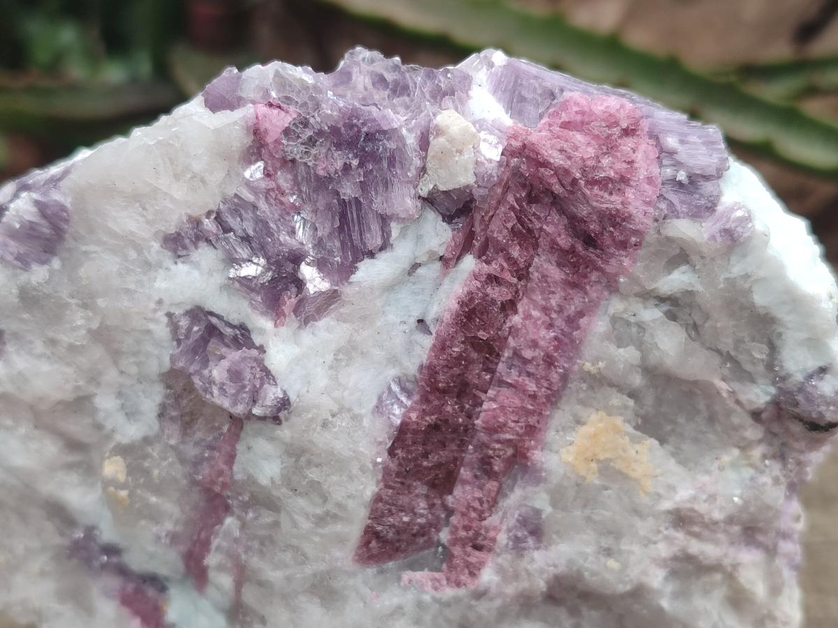 Natural Large Pink Rubellite Tourmaline Specimens x 6 From Karibib, Namibia - Toprock Gemstones and Minerals 