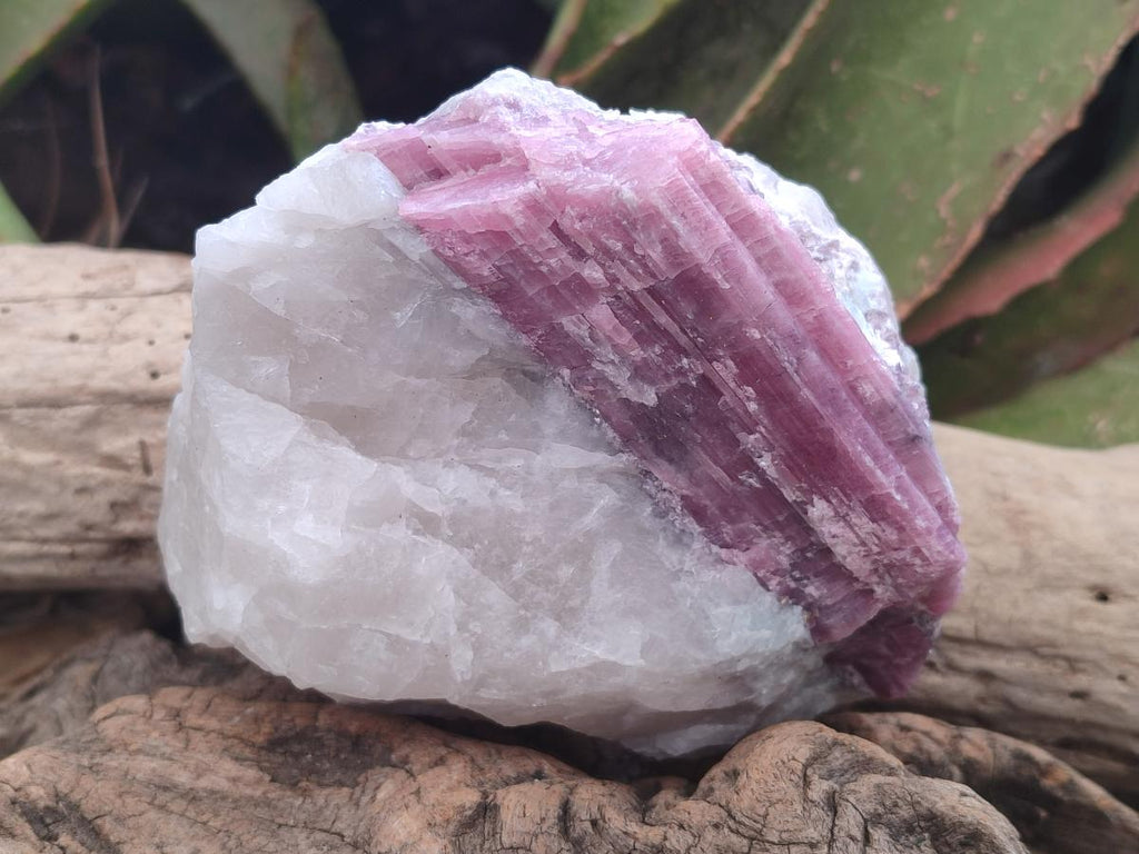Natural Large Pink Rubellite Tourmaline Specimens x 6 From Karibib, Namibia - Toprock Gemstones and Minerals 