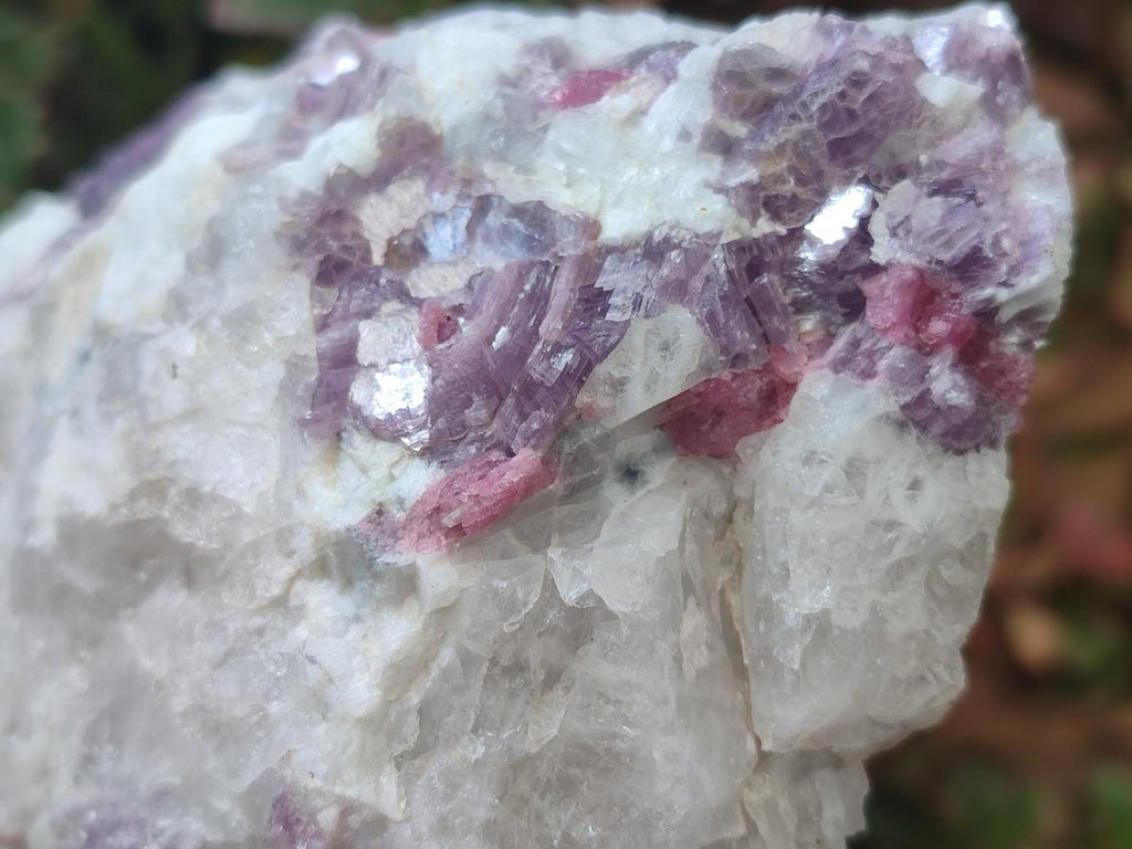 Natural Large Pink Rubellite Tourmaline Specimens x 6 From Karibib, Namibia - Toprock Gemstones and Minerals 