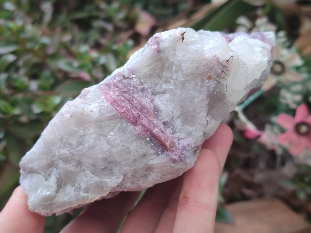 Natural Large Pink Rubellite Tourmaline Specimens x 6 From Karibib, Namibia - Toprock Gemstones and Minerals 