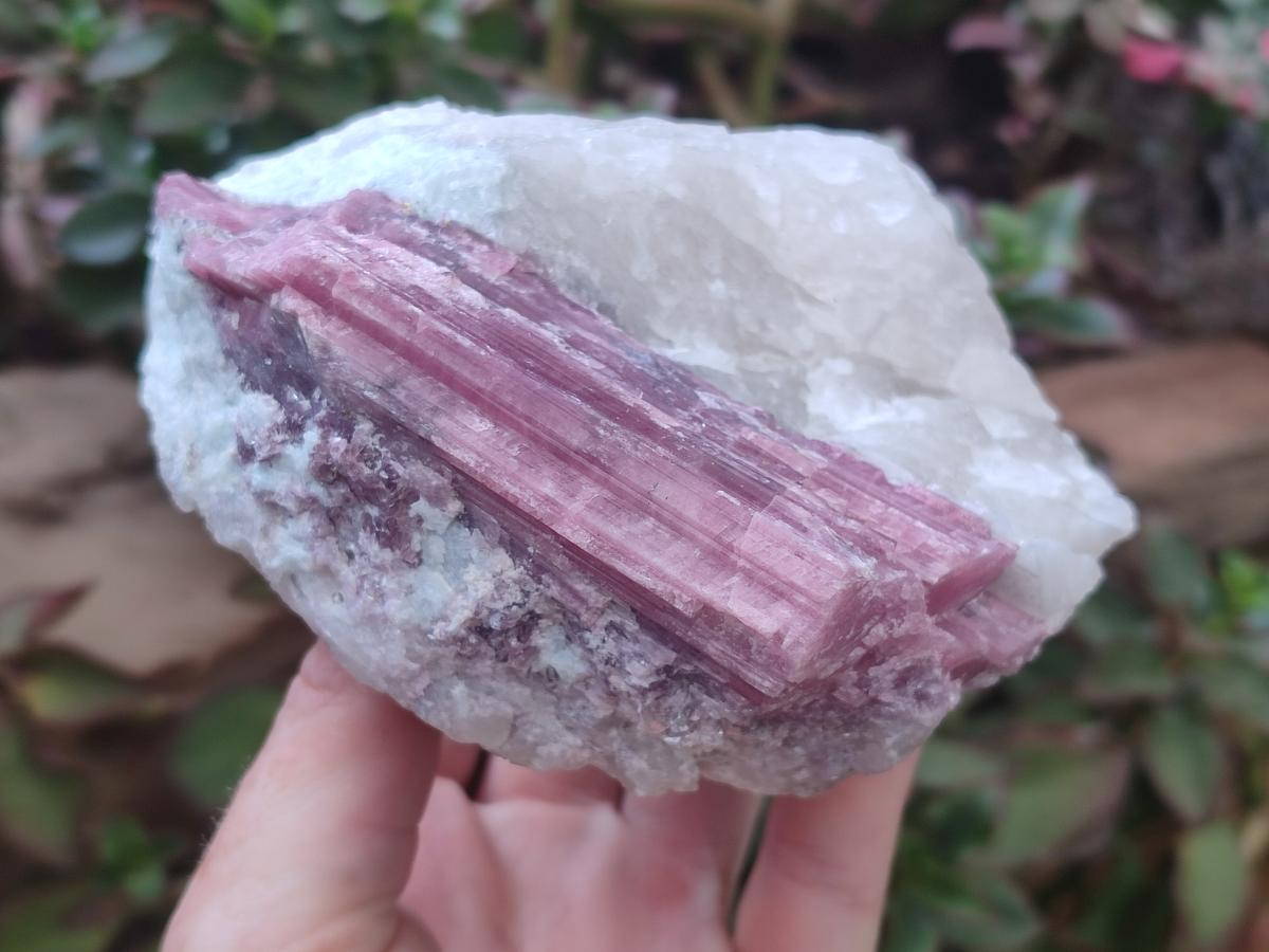 Natural Large Pink Rubellite Tourmaline Specimens x 6 From Karibib, Namibia - Toprock Gemstones and Minerals 
