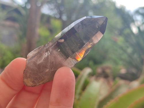 Natural Smokey Quartz Crystals x 35 From Zomba Plateau, Malawi - Toprock Gemstones and Minerals 