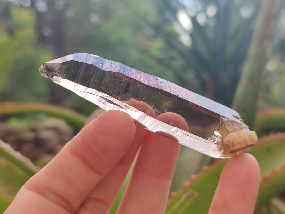 Natural Smokey Quartz Crystals x 35 From Zomba Plateau, Malawi - Toprock Gemstones and Minerals 