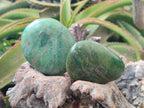 Polished Chrome Verdite Gemstone Palm Stones x 12 From Zimbabwe - Toprock Gemstones and Minerals 