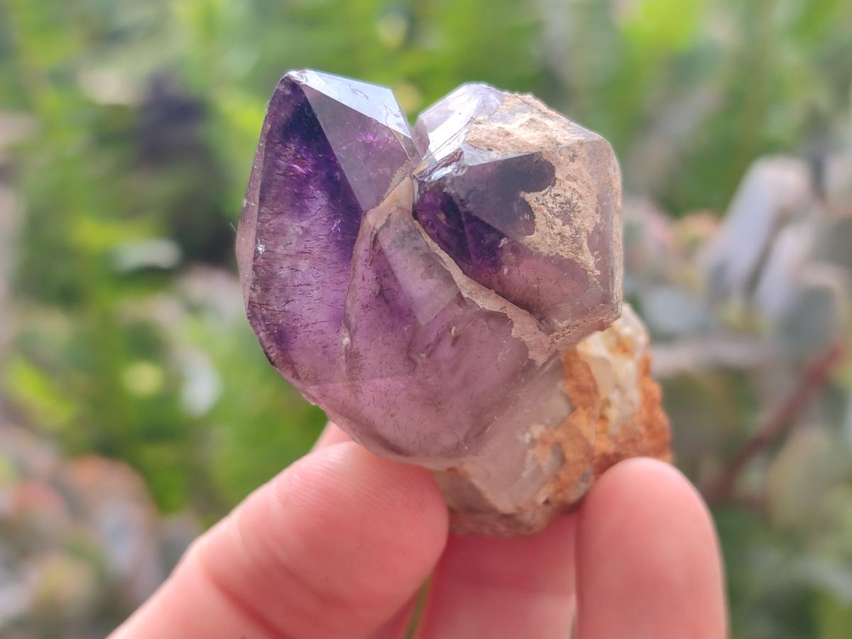 Natural Window Amethyst Crystals x 12 From Chiredzi, Zimbabwe - Toprock Gemstones and Minerals 