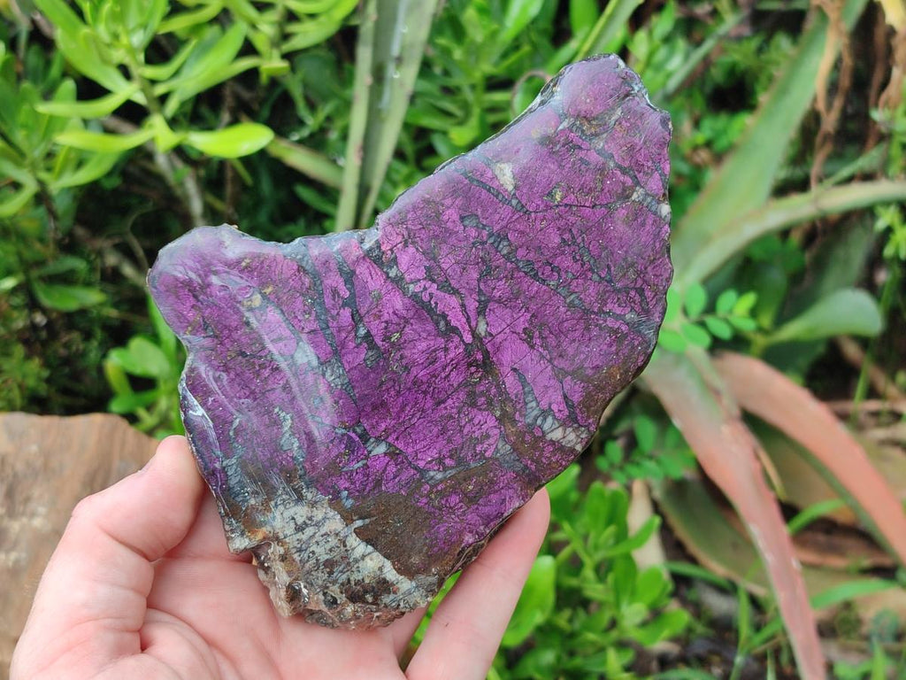 Polished Metallic Purpurite Slices x 3 From Erongo, Namibia - Toprock Gemstones and Minerals 