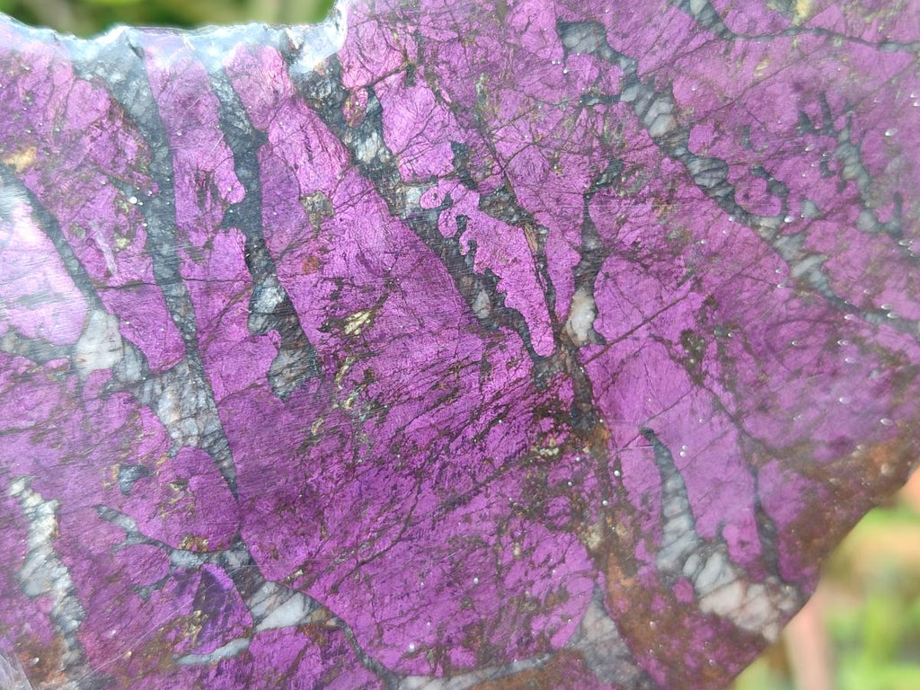 Polished Metallic Purpurite Slices x 3 From Erongo, Namibia - Toprock Gemstones and Minerals 