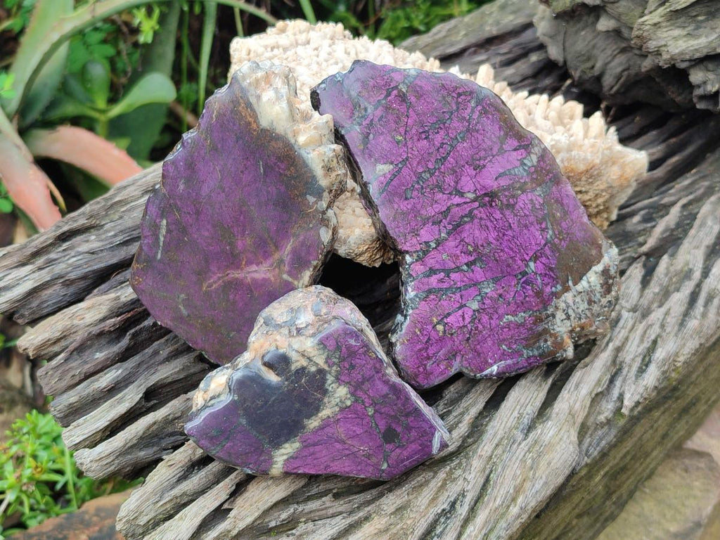Polished Metallic Purpurite Slices x 3 From Erongo, Namibia - Toprock Gemstones and Minerals 