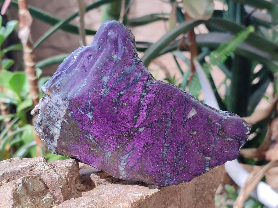 Polished Metallic Purpurite Slices x 3 From Erongo, Namibia - Toprock Gemstones and Minerals 