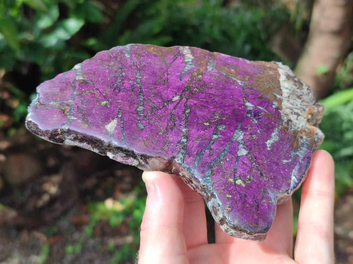 Polished Metallic Purpurite Slices x 3 From Erongo, Namibia - Toprock Gemstones and Minerals 