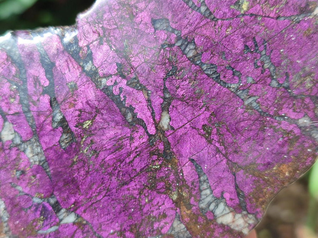 Polished Metallic Purpurite Slices x 3 From Erongo, Namibia - Toprock Gemstones and Minerals 