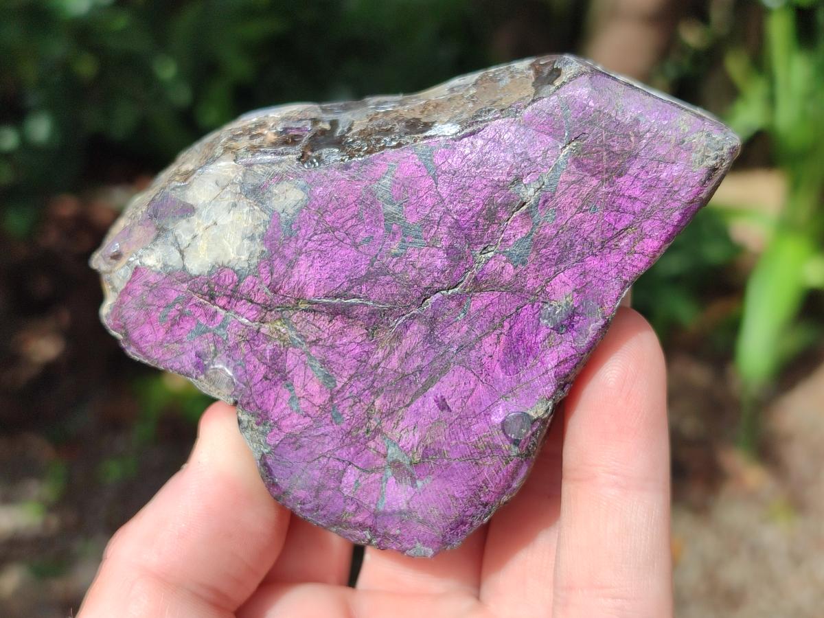 Polished Metallic Purpurite Slices x 3 From Erongo, Namibia - Toprock Gemstones and Minerals 