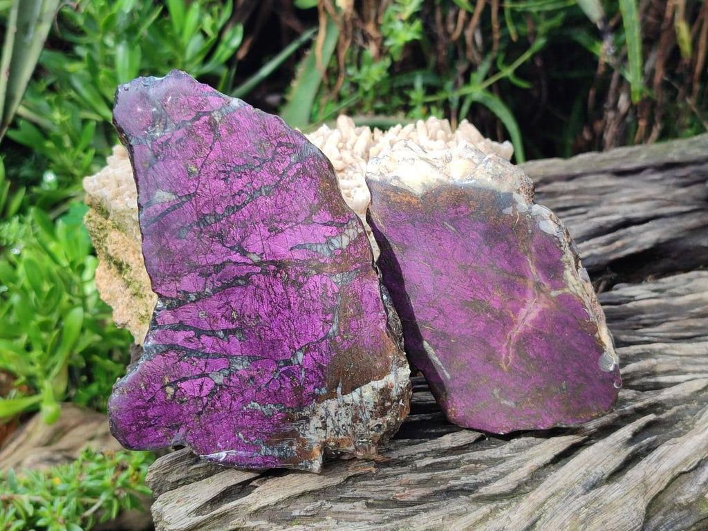 Polished Metallic Purpurite Slices x 3 From Erongo, Namibia - Toprock Gemstones and Minerals 