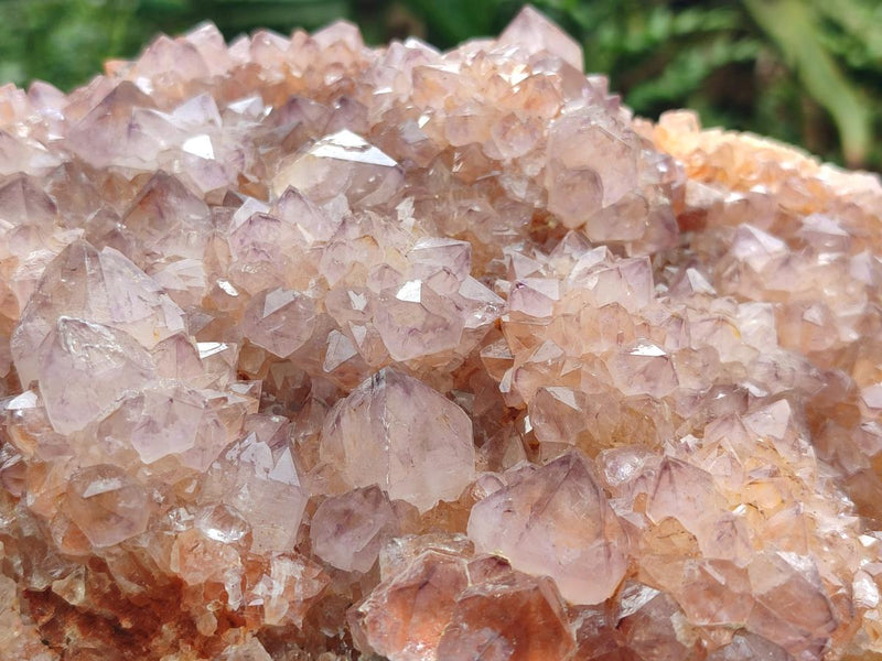 Natural Large Sunburst Amethyst Spirit Cluster x 1 From Boekenhouthoek, South Africa - Toprock Gemstones and Minerals 