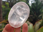 Polished Girasol Pearl Quartz Palm Stones x 6 From Ambatondrazaka, Madagascar - Toprock Gemstones and Minerals 