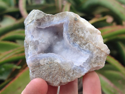 Natural Blue Lace Agate Geode Specimens x 12 From Nsanje, Malawi - Toprock Gemstones and Minerals 