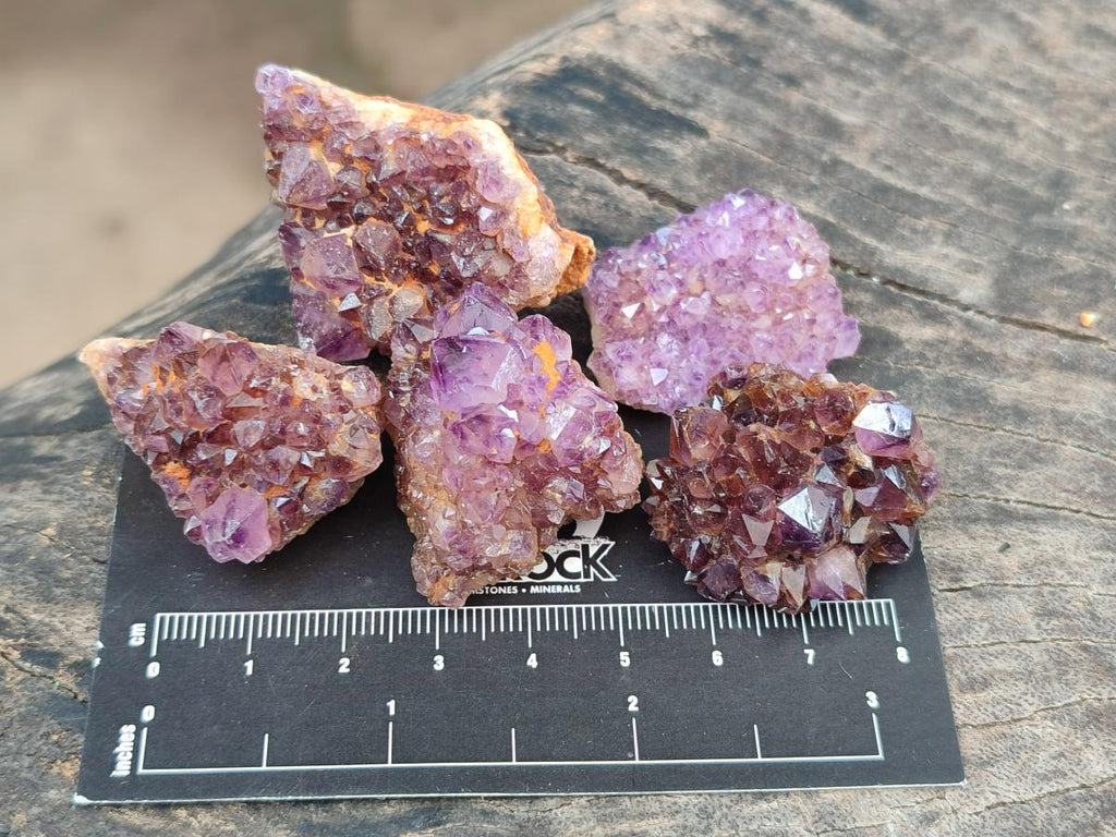 Natural Dark Purple Amethyst Quartz Crystal Plates x 63 From Boekenhouthoek, South Africa - Toprock Gemstones and Minerals 