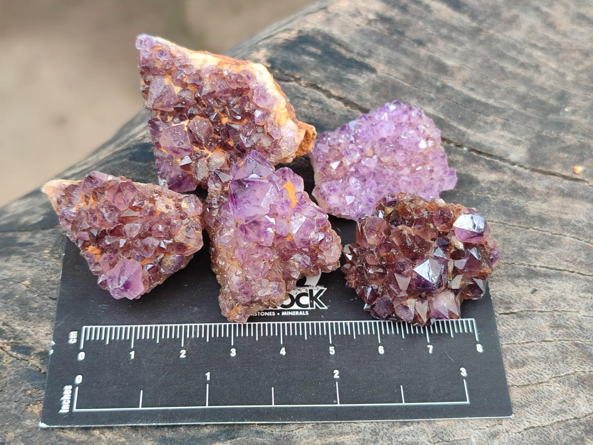 Natural Dark Purple Amethyst Quartz Crystal Plates x 63 From Boekenhouthoek, South Africa - Toprock Gemstones and Minerals 