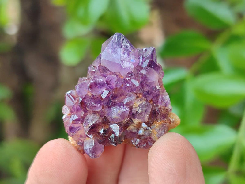 Natural Dark Purple Amethyst Quartz Crystal Plates x 63 From Boekenhouthoek, South Africa - Toprock Gemstones and Minerals 