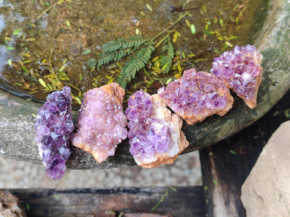 Natural Dark Purple Amethyst Quartz Crystal Plates x 63 From Boekenhouthoek, South Africa - Toprock Gemstones and Minerals 