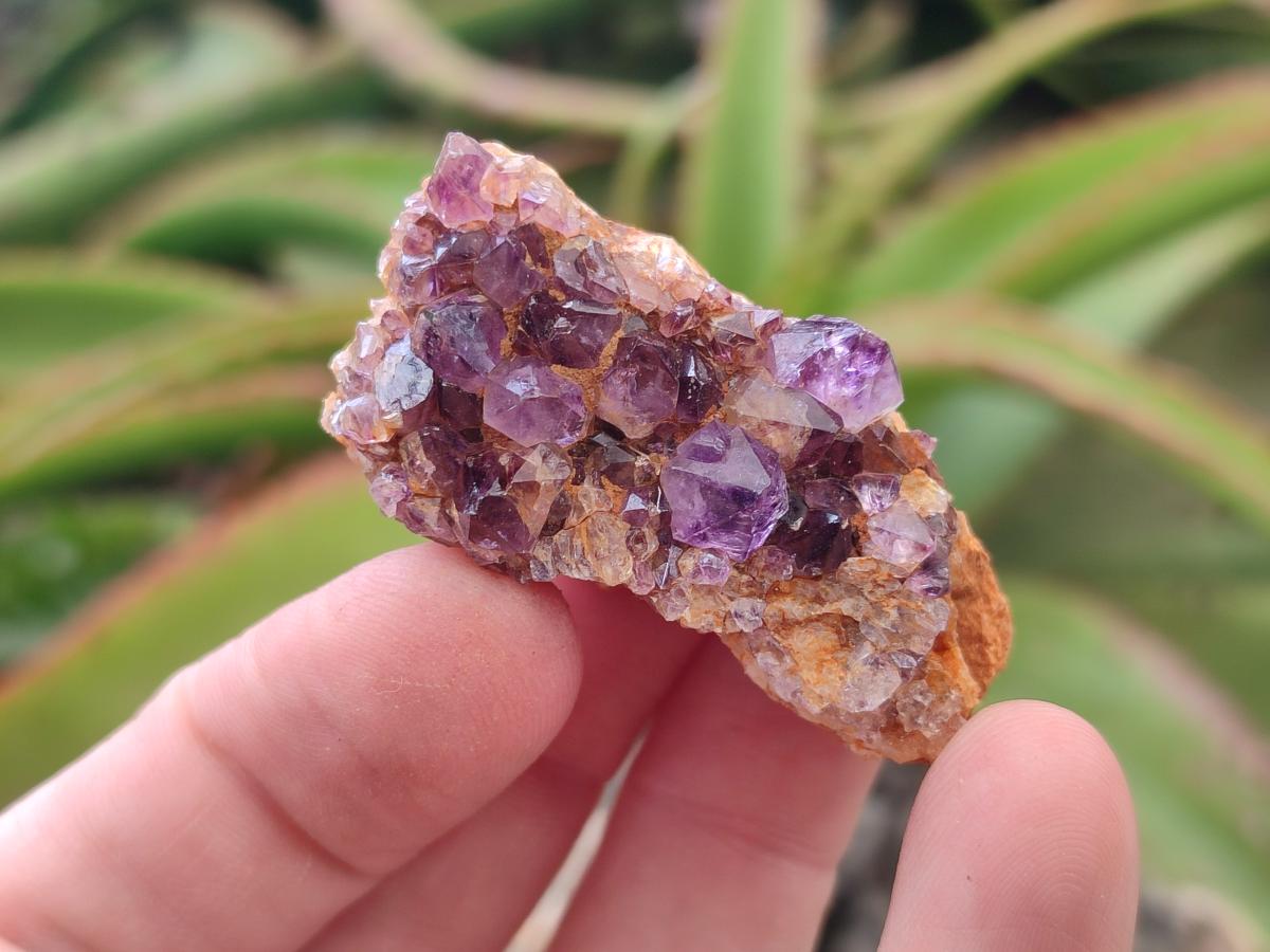 Natural Dark Purple Amethyst Quartz Crystal Plates x 63 From Boekenhouthoek, South Africa - Toprock Gemstones and Minerals 