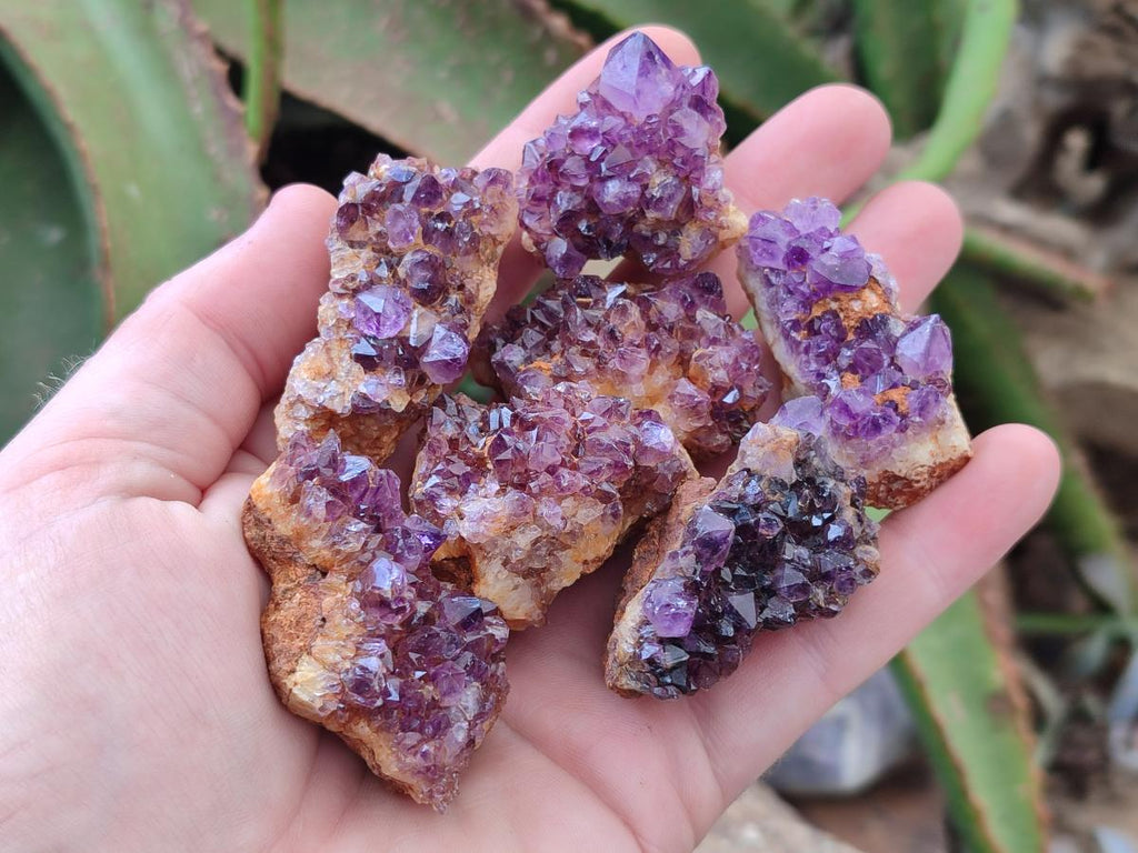 Natural Dark Purple Amethyst Quartz Crystal Plates x 63 From Boekenhouthoek, South Africa - Toprock Gemstones and Minerals 