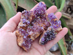 Natural Dark Purple Amethyst Quartz Crystal Plates x 63 From Boekenhouthoek, South Africa - Toprock Gemstones and Minerals 