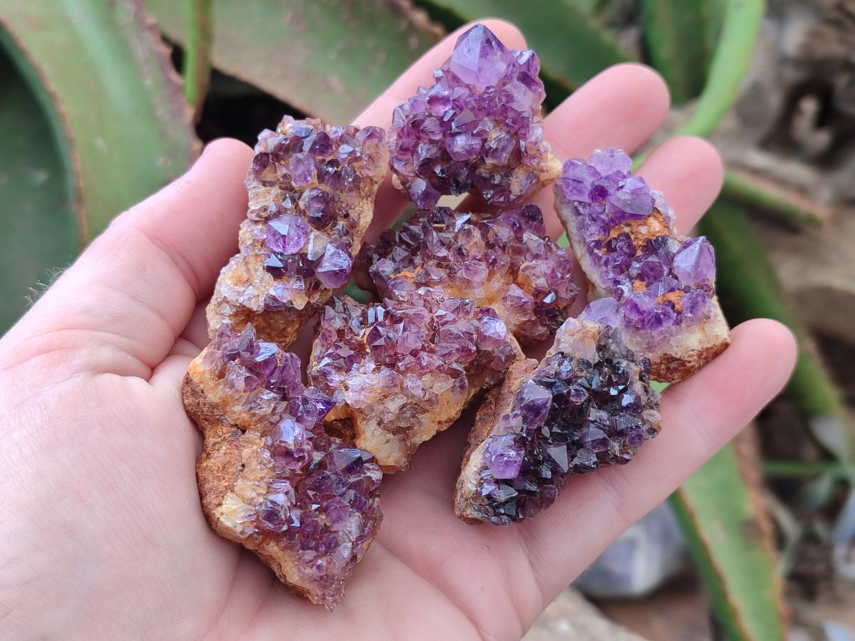 Natural Dark Purple Amethyst Quartz Crystal Plates x 63 From Boekenhouthoek, South Africa - Toprock Gemstones and Minerals 
