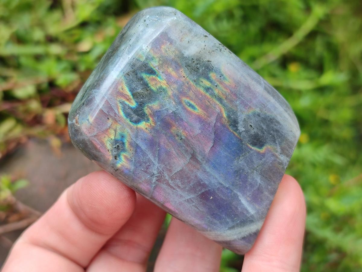 Polished Rare Purple Sunset Flash Labradorite Standing Free Forms x 12 From Madagascar - Toprock Gemstones and Minerals 