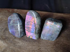 Polished Rare Purple Sunset Flash Labradorite Standing Free Forms x 12 From Madagascar - Toprock Gemstones and Minerals 
