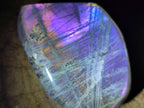 Polished Rare Purple Sunset Flash Labradorite Standing Free Forms x 12 From Madagascar - Toprock Gemstones and Minerals 