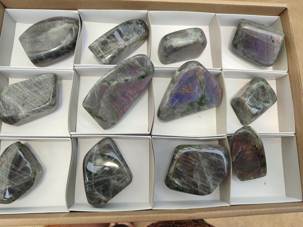 Polished Rare Purple Sunset Flash Labradorite Standing Free Forms x 12 From Madagascar - Toprock Gemstones and Minerals 