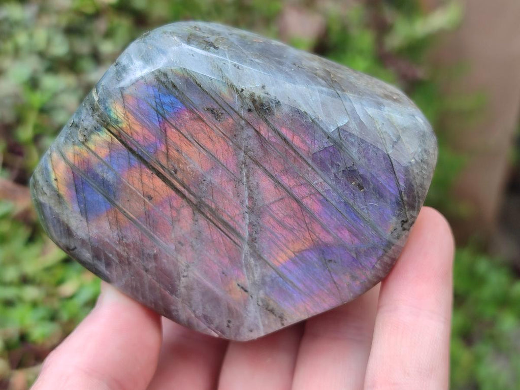 Polished Rare Purple Sunset Flash Labradorite Standing Free Forms x 12 From Madagascar - Toprock Gemstones and Minerals 