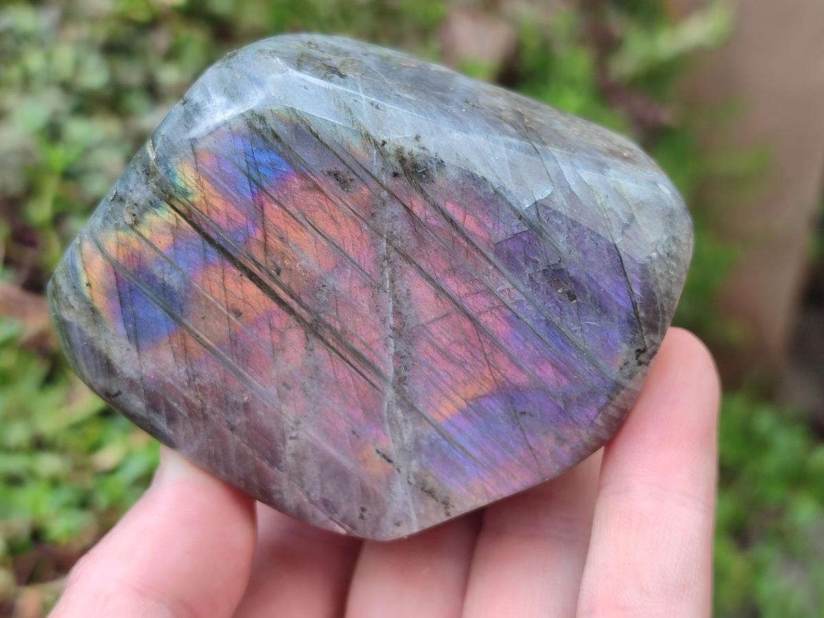 Polished Rare Purple Sunset Flash Labradorite Standing Free Forms x 12 From Madagascar - Toprock Gemstones and Minerals 