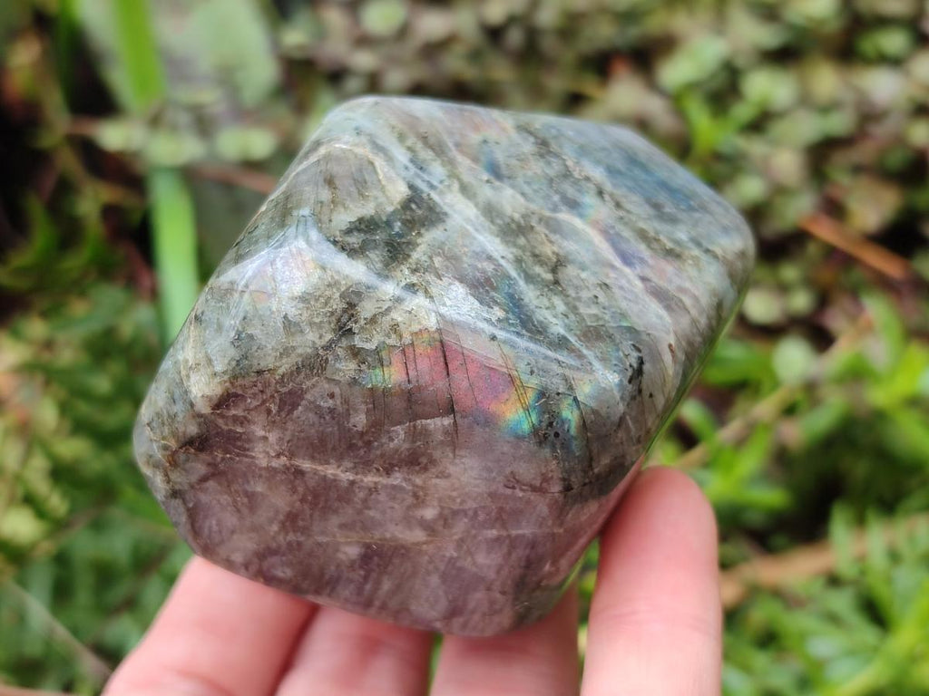 Polished Rare Purple Sunset Flash Labradorite Standing Free Forms x 12 From Madagascar - Toprock Gemstones and Minerals 
