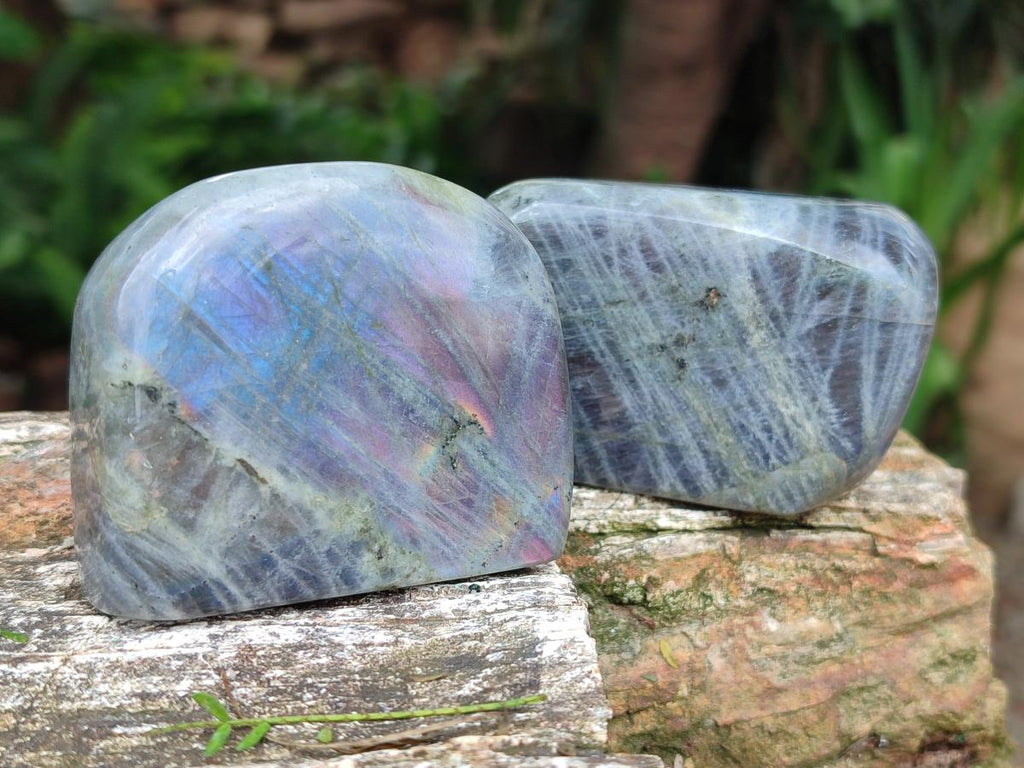 Polished Rare Purple Sunset Flash Labradorite Standing Free Forms x 12 From Madagascar - Toprock Gemstones and Minerals 