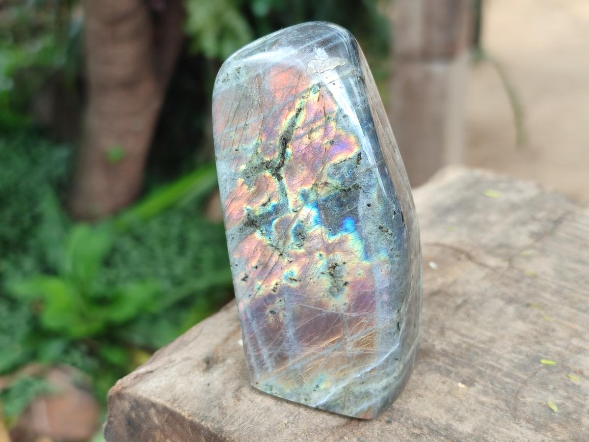 Polished Rare Purple Sunset Flash Labradorite Standing Free Forms x 12 From Madagascar - Toprock Gemstones and Minerals 