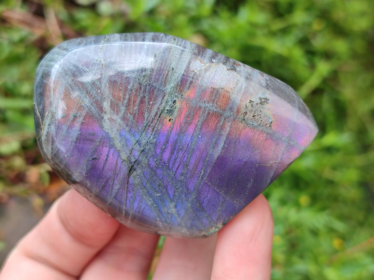 Polished Rare Purple Sunset Flash Labradorite Standing Free Forms x 12 From Madagascar - Toprock Gemstones and Minerals 