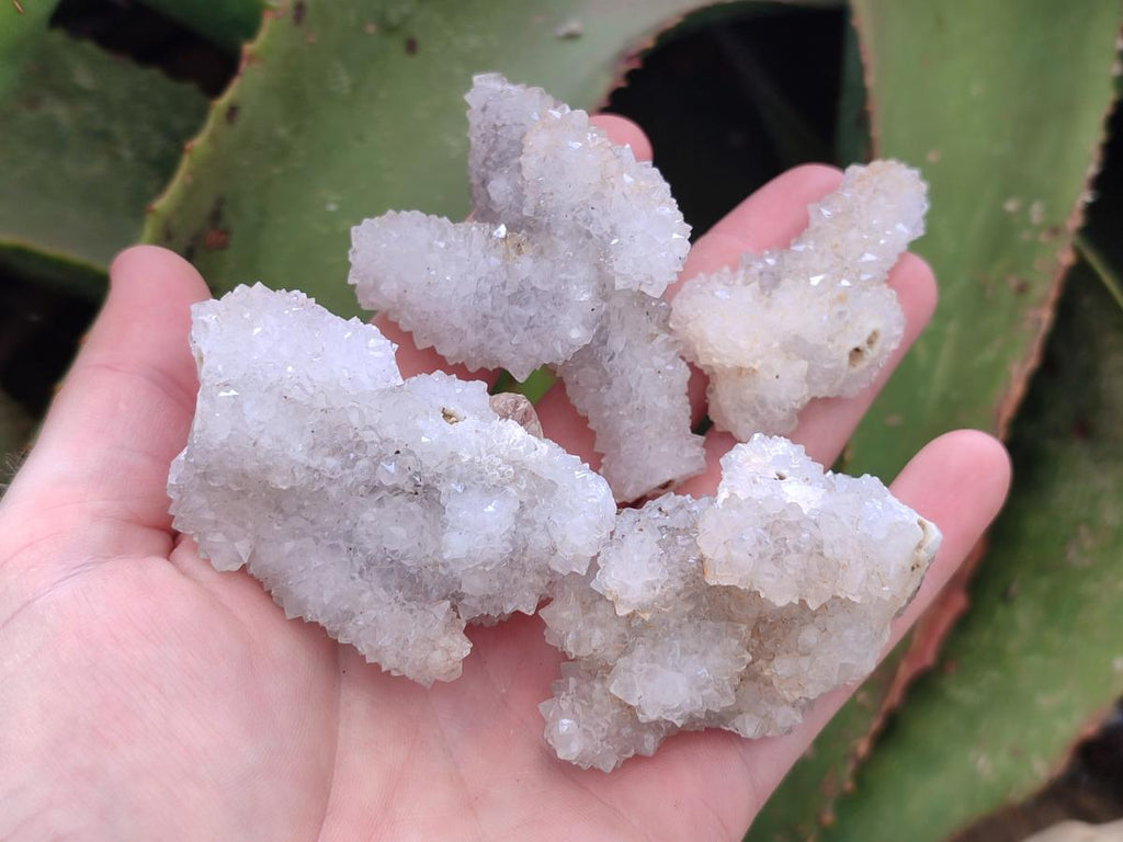 Natural Small Drusy Snow Finger Crystal Clusters x 35 From Albert's Mountain, Lesotho - Toprock Gemstones and Minerals 