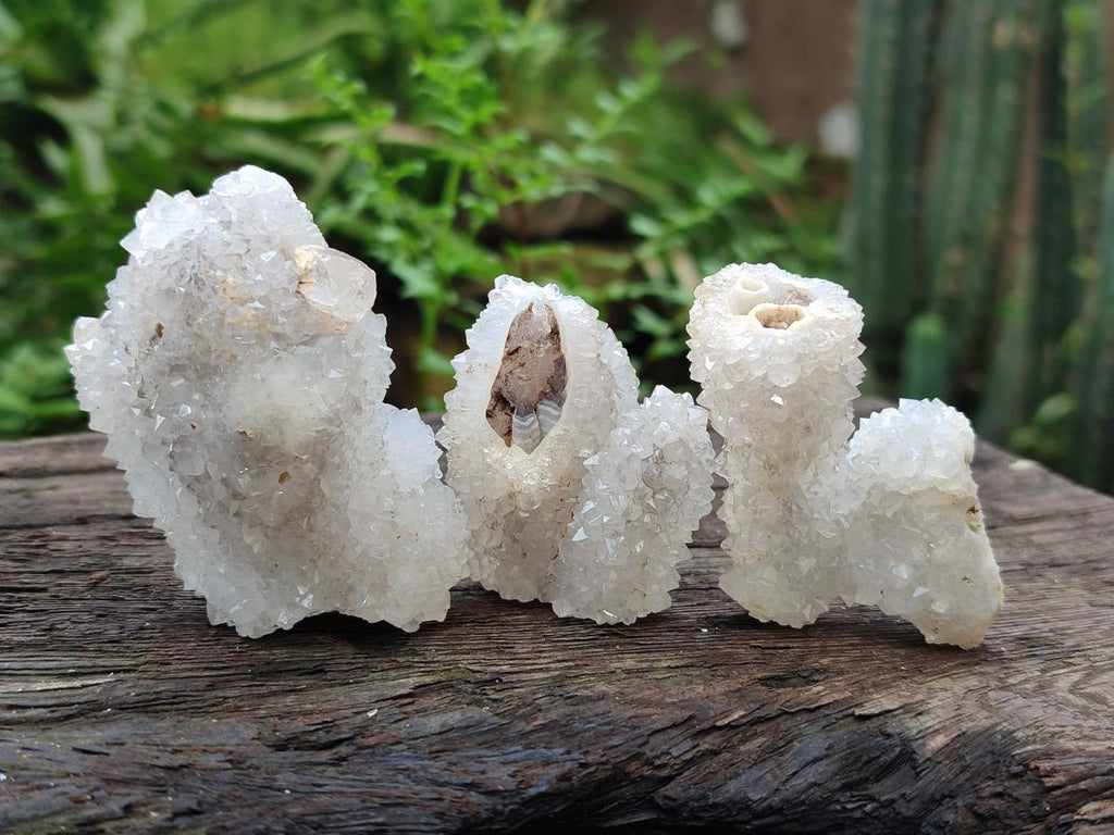 Natural Small Drusy Snow Finger Crystal Clusters x 35 From Albert's Mountain, Lesotho - Toprock Gemstones and Minerals 