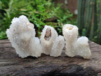 Natural Small Drusy Snow Finger Crystal Clusters x 35 From Albert's Mountain, Lesotho - Toprock Gemstones and Minerals 